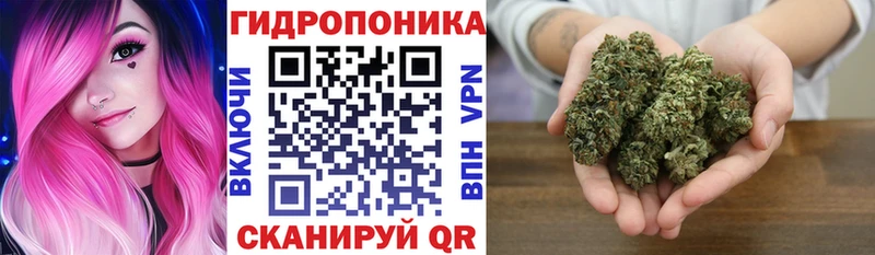 купить наркотики цена  Шарья  Канабис тримм 